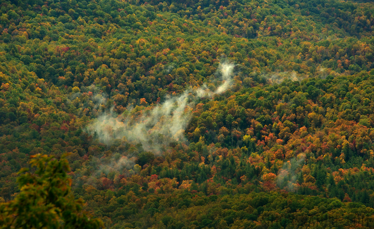 Blue Ridge Parkway [300 mm, 1/160 Sek. bei f / 10, ISO 500]